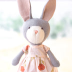 Violet Rabbit
