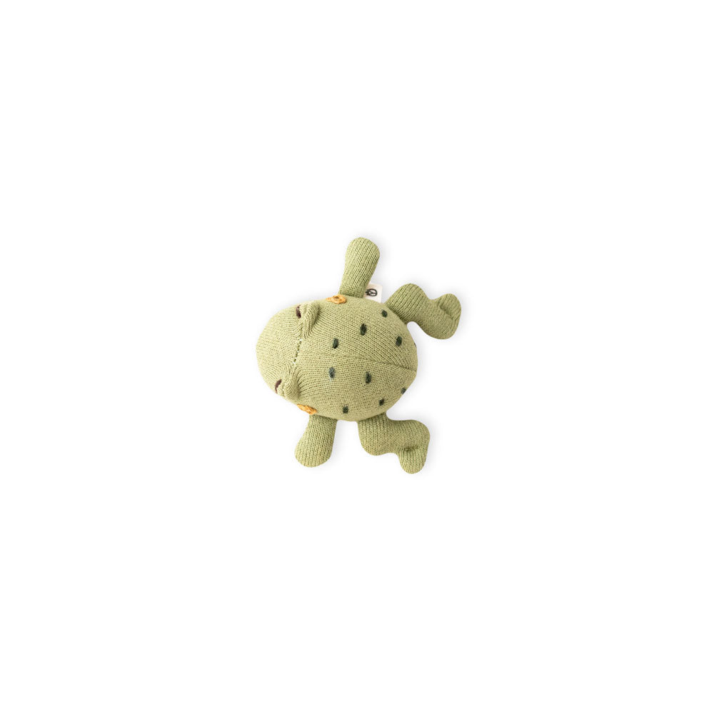 Mini Tree Frog