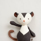 Alexander Opossum