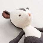 Alexander Opossum