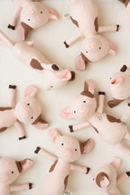 Bluebell Pig