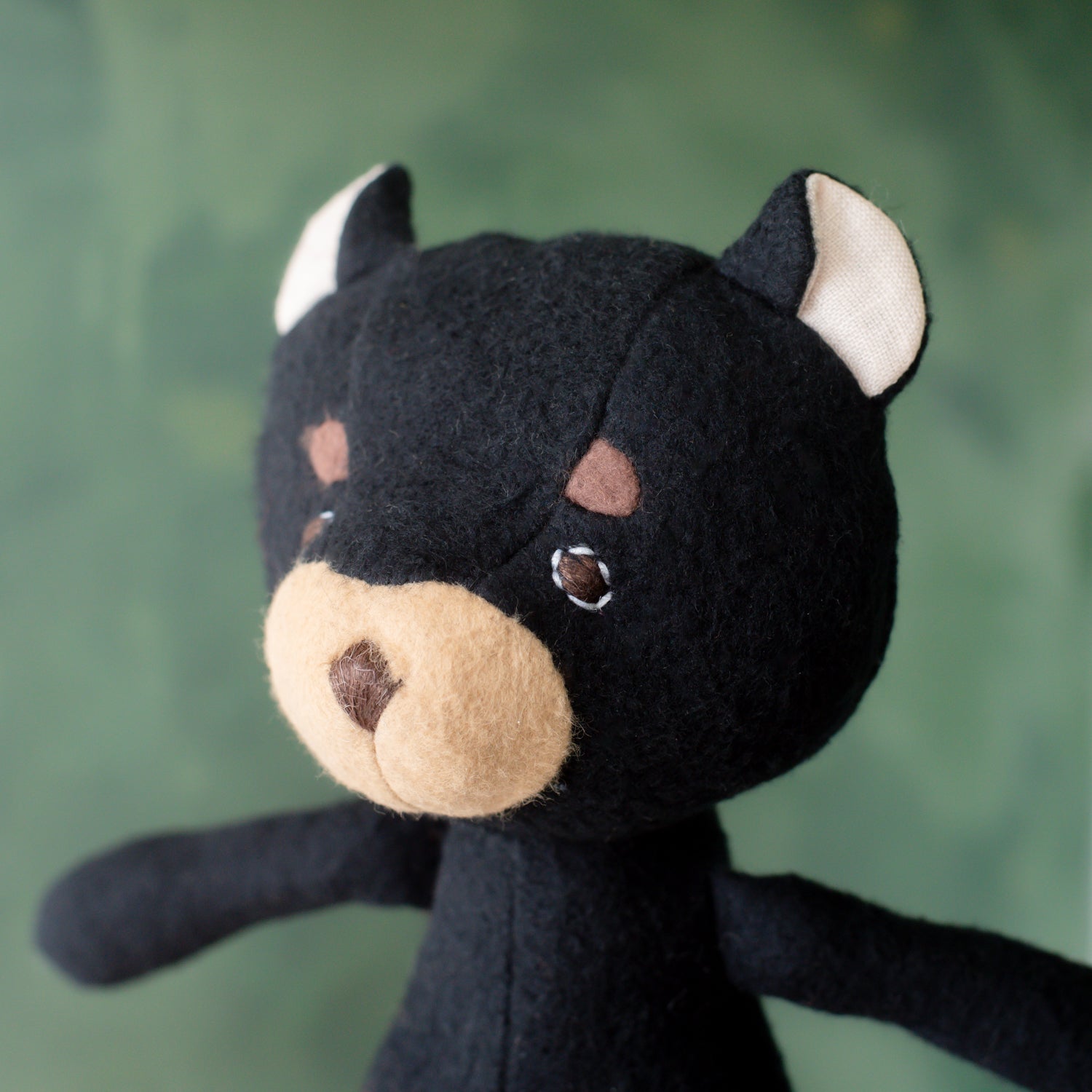 Charlotte Bear