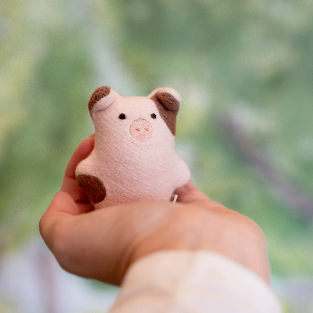Mini Truffle Pig