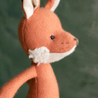 Owen Fox